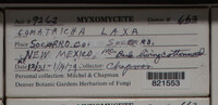Image Associated With the Occurence